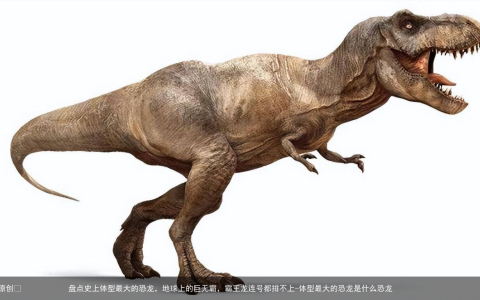 盘点史上体型最大的恐龙，地球上的巨无霸，霸王龙连号都排不上-体型最大的恐龙是什么恐龙