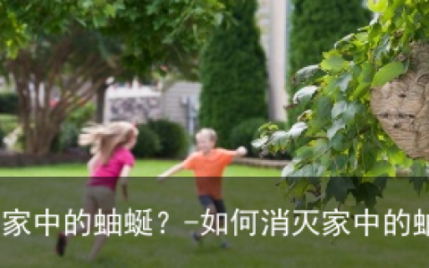 如何消灭家中的蚰蜒？-如何消灭家中的蚰蜒