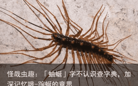 怪哉虫趣：「蚰蜒」字不认识查字典，加深记忆哦-踠蜒的意思