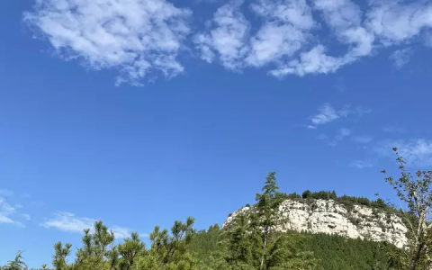 清明踏青，这几个新建绿道、公园不容错过韩国夫人带火了一种新穿法：叫“外素里艳”，优雅减龄又显气质-绿道在哪