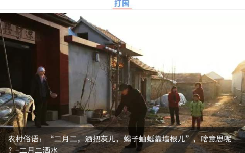 农村俗语：“二月二，洒把灰儿，蝎子蚰蜒靠墙根儿”，啥意思呢？-二月二洒水