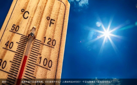 成都升温千足虫满街爬，它们是想干什么？人类如何应对它们？-千足虫聚集在一起是因为什么?