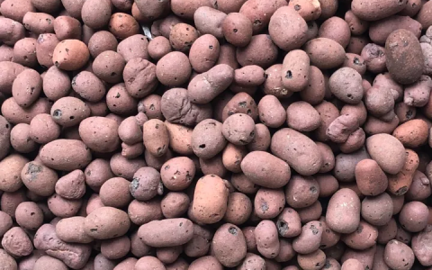 陶粒是什么？-种多肉的陶粒是什么材料做的