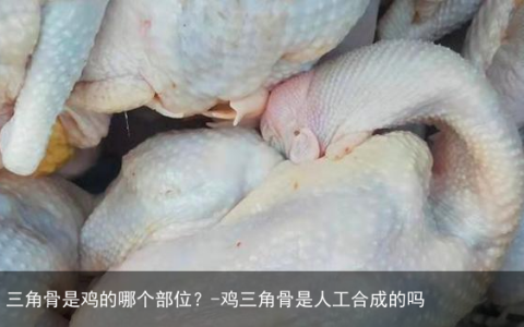 三角骨是鸡的哪个部位？-鸡三角骨是人工合成的吗