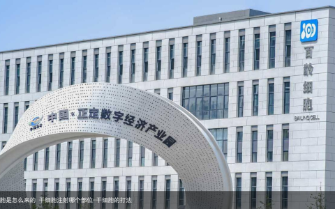 干细胞是怎么来的 干细胞注射哪个部位-干细胞的打法