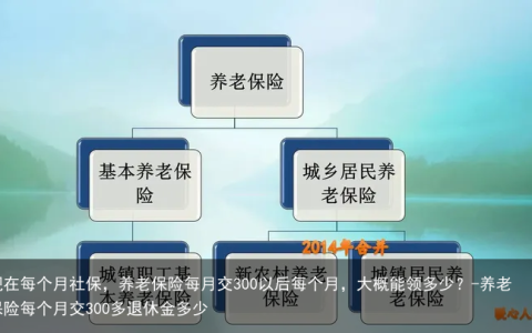 现在每个月社保，养老保险每月交300以后每个月，大概能领多少？-养老保险每个月交300多退休金多少