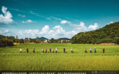 农民每年缴纳300元养老保险，以后每月可以领多少养老金呢？-农村人每年交的300块钱的养老金