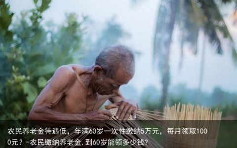 农民养老金待遇低，年满60岁一次性缴纳5万元，每月领取1000元？-农民缴纳养老金,到60岁能领多少钱?