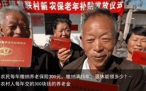 农民每年缴纳养老保险300元，缴纳满15年，退休能领多少？-农村人每年交的300块钱的养老金
