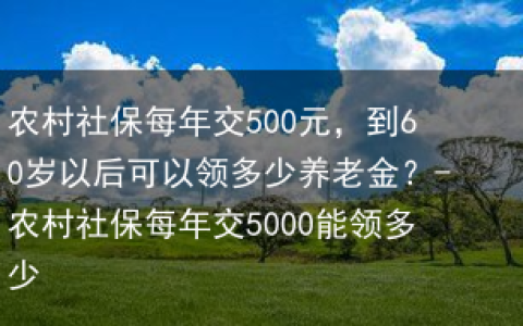 农村社保每年交500元，到60岁以后可以领多少养老金？-农村社保每年交5000能领多少