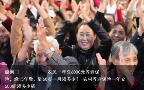 农民一年交6000元养老保险，缴15年后，到60岁一月领多少？-农村养老保险一年交600能领多少钱