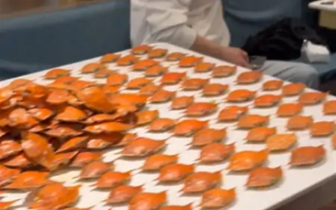 7人吃自助餐4小时炫300多个螃蟹，自助餐厅也要“大肚能容”-自助餐螃蟹图片