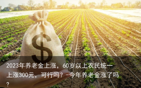 2023年养老金上涨，60岁以上农民统一上涨300元，可行吗？-今年养老金涨了吗?