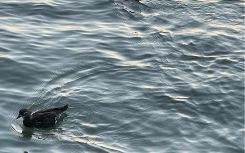 2022年男孩最佳取名-男孩名字2021年名字大全草字头怎么取