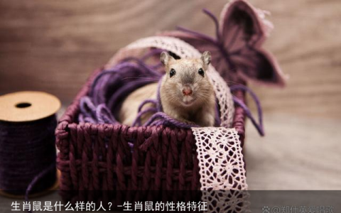 生肖鼠是什么样的人？-生肖鼠的性格特征