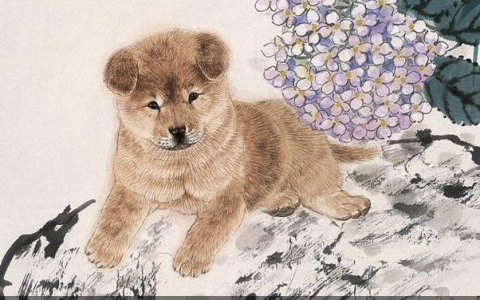 属啥生肖的孩子，是小棉袄，乖巧懂事学习好，长大后前途更佳-小棉袄意思是什么