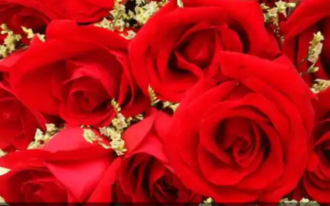 财神说：2021年4生肖，贵人来敲门，横财进家门，一顺百顺-4属相财源广进