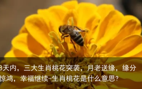 8天内，三大生肖桃花突袭，月老送缘，缘分惊鸿，幸福继续-生肖桃花是什么意思?