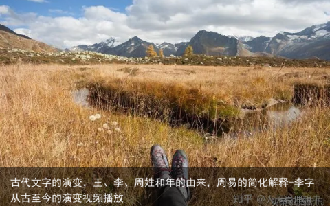 古代文字的演变，王、李、周姓和年的由来，周易的简化解释-李字从古至今的演变视频播放
