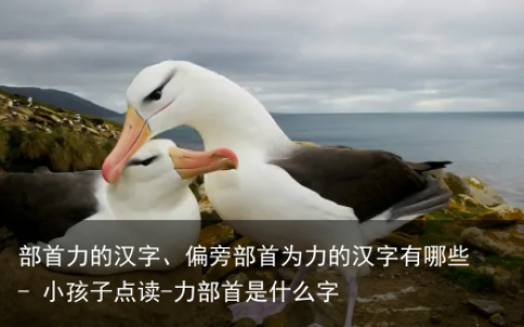 部首力的汉字、偏旁部首为力的汉字有哪些 – 小孩子点读-力部首是什么字