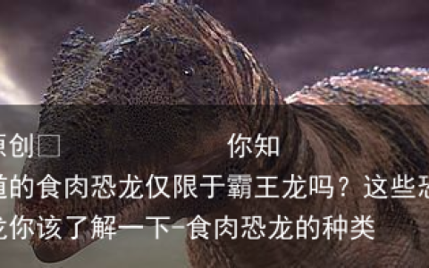 你知道的食肉恐龙仅限于霸王龙吗？这些恐龙你该了解一下-食肉恐龙的种类