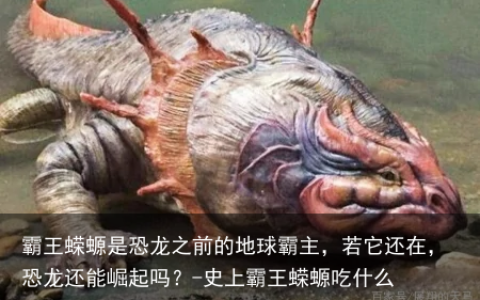 霸王蝾螈是恐龙之前的地球霸主，若它还在，恐龙还能崛起吗？-史上霸王蝾螈吃什么