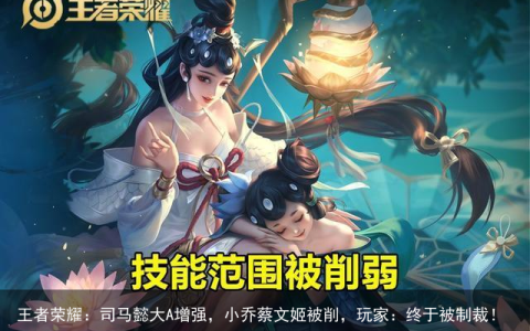 王者荣耀：司马懿大A增强，小乔蔡文姬被削，玩家：终于被制裁！-司马懿小乔语音彩蛋