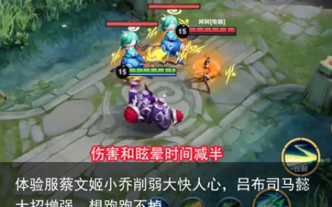 体验服蔡文姬小乔削弱大快人心，吕布司马懿大招增强，想跑跑不掉