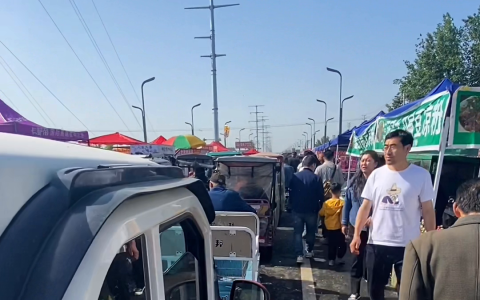 宠物市场金毛真实价格区间，别再看自导自演的剧本了#双血…