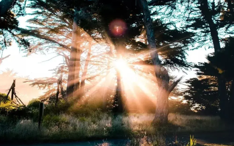 10首钢琴经典音乐会选曲，这些曲子你可不能错过了