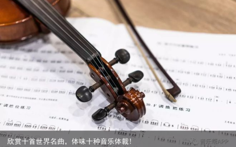 欣赏十首世界名曲，体味十种音乐体裁!
