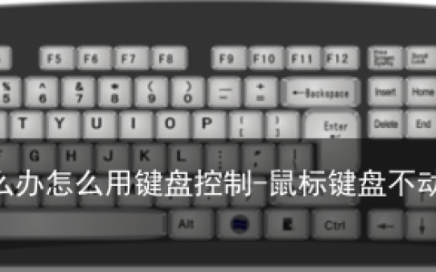 鼠标不动了怎么办怎么用键盘控制-鼠标键盘不动了是怎么回事