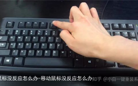 鼠标没反应怎么办-移动鼠标没反应怎么办