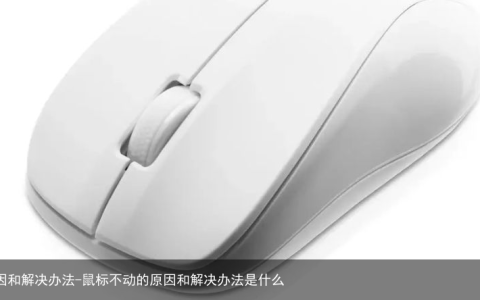 鼠标不动的原因和解决办法-鼠标不动的原因和解决办法是什么