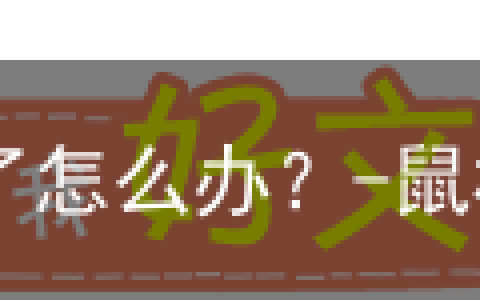 鼠标指针不动了怎么办？-鼠标指针不会动怎么办