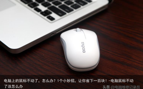 电脑上的鼠标不动了，怎么办？1个小妙招，让你省下一百块！-电脑鼠标不动了该怎么办
