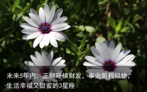 未来5年内，正财旺横财发，事业前程似锦，生活幸福又甜蜜的3星座