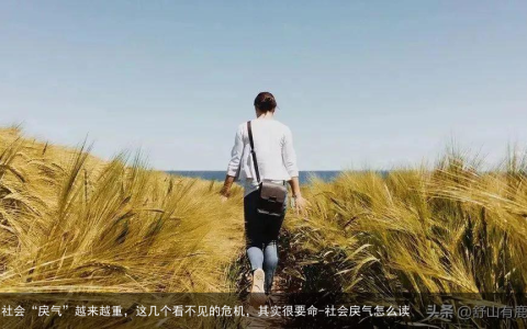 社会“戾气”越来越重，这几个看不见的危机，其实很要命-社会戾气怎么读