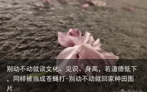 别动不动就谈文化、见识、身高，若道德低下，同样被当成苍蝇打-别动不动就回家种田图片