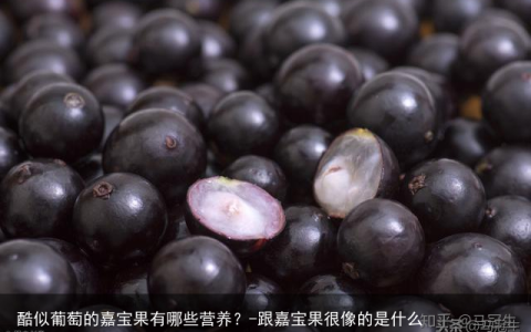 酷似葡萄的嘉宝果有哪些营养？-跟嘉宝果很像的是什么