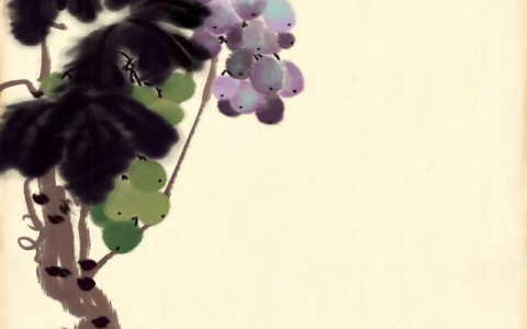 树葡萄，吃一次感觉太美味了