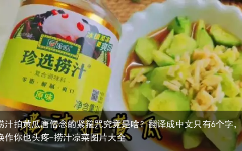 捞汁拍黄瓜-捞汁凉菜图片大全