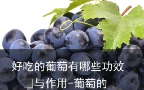 好吃的葡萄有哪些功效  	与作用-葡萄的好处和功效有哪些