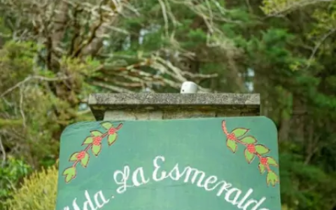 咖啡专业术语，你懂了吗？-咖啡的术语基本知识有哪些