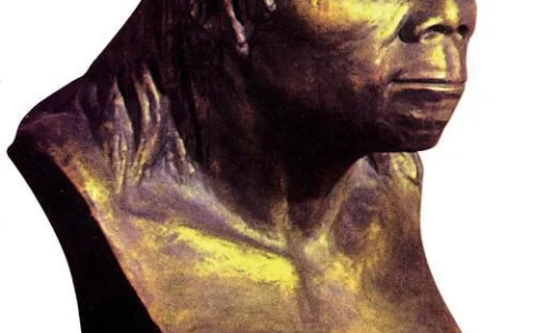 如果判断凸嘴 ‖ 你是骨性凸嘴还是牙性凸嘴？？-骨性凸嘴与牙性凸嘴