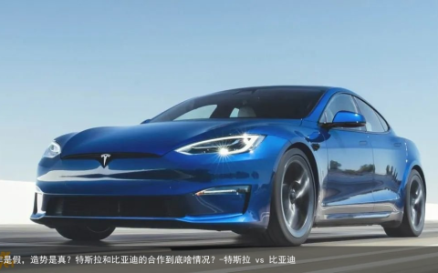 合作是假，造势是真？特斯拉和比亚迪的合作到底啥情况？-特斯拉 vs 比亚迪