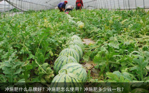 冲施肥什么品牌好？冲施肥怎么使用？冲施肥多少钱一包？