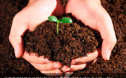 矿源黄腐酸钾怎样用效果好？矿源黄腐酸钾市场价多少钱一包？