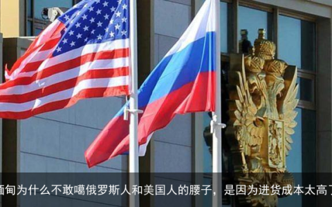 缅甸为什么不敢噶俄罗斯人和美国人的腰子，是因为进货成本太高了