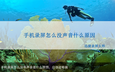 手机录屏怎么没有声音是什么原因，应该这样做